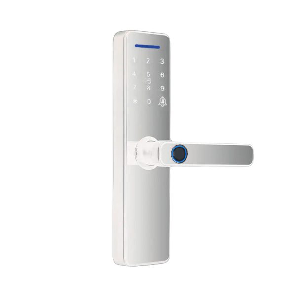 Cerradura Inteligente BSmart BS-CP13