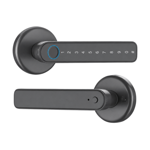 Pestillo Inteligente BSmart Bolt CS04 Gris Oscuro