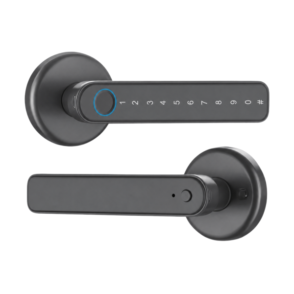 Pestillo Inteligente BSmart Bolt CS04 Gris Oscuro